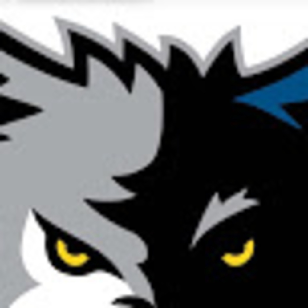 Meet your Posher, Vion